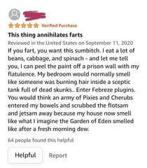 This Amazon review for febreeze plug-ins