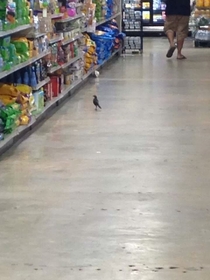 This bird has found the jackpot