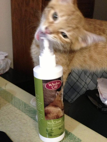 this cat likes no chew spray