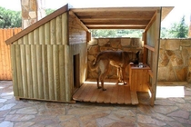 This dog has a nicer house than you