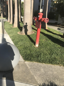 This fire hydrant looked like a woman posing