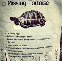 This Guy Really Misses His Tortoise Language Warning