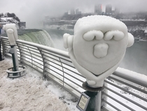This happy guy at Niagara Falls today