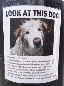 This hilarious lost dog poster I found a couple years ago