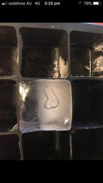 This IceCube has a penis bubble in it