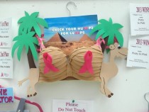 This is a bra entered into a competition to support breast cancer in my local mall