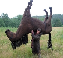 This is a horse on a shoulder Reddit beat it to death
