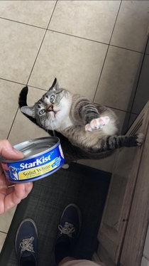 This is Kevin Kevin likes tuna