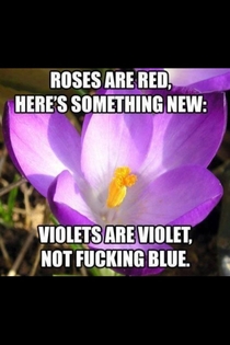 This is my response when someone does a roses are red poem