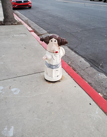 This is not the hydrant you expected today