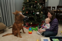 This is the year you should get your kids a horse for Christmas
