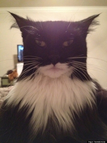 THIS is who Reddit would cast as Batman