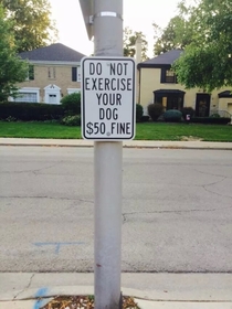 This is why I leave my dog at home on my morning run