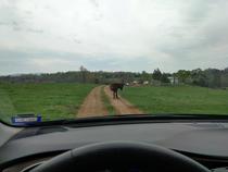 This jackass wouldnt get out of the way