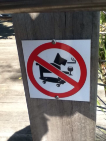 This must be the coolest dog ever not allowed here