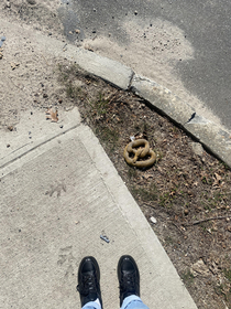 This perfectly in-tact pretzel has been here for a year now lt me and my so check to make sure its still there every time we go on a walk and it always is