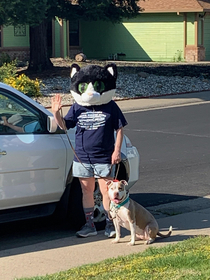 This person has been walking their dog the past few days in our neighborhood Either hes out of masks or he is just trying to give people a good laugh