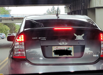 This person loves their car