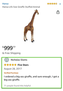 This review for a life-sized stuffed giraffe