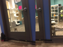 This shelter cat named Quilty kept opening the door to let all the cats out so the staff rigged up a broom to keep the door closed Quilty is not happy about this