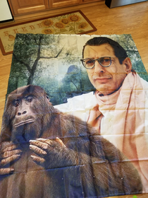 This shower curtain arrived in the mail today As it was opened my wife about died Effective immediately my wifes house decorating privileges have been revoked