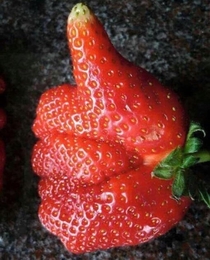 This strawberry
