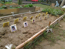 This Taiwanese teacher probably shouldnt have labeled each kids plant with their pictures
