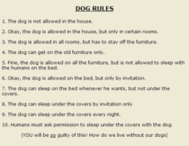 This was on the site I bought my jack russell from