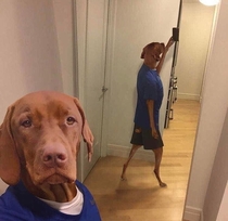 Thought I looked cute in this selfie I might delete later though