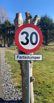 Thought Reddit might enjoy this This is the Norwegian word for speed bumps