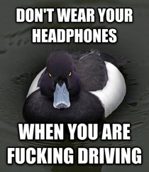 Thought this was common sense but the asshole who cut me off while Im blaring my horn proved otherwise