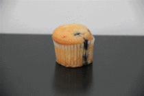 Timelapse of leaving a muffin out too long