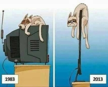 Times change Cats dont