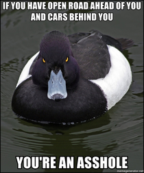 To all left lane drivers