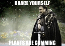 To all the seasonal allergy sufferers