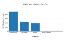 To anybody who says wind turbines are a major bird killer