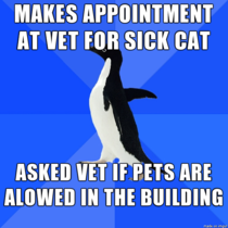 To my credit I was worried about my sick kitty