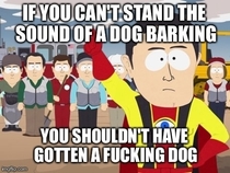 To the girl I met who borderline beats her dog every time she lets out even the smallest bark