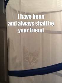 To the guy who disciplines his cat by trapping him in a laundry hamper