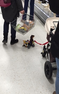 To the little boy who made his pet weasel a cart out of knex and dragged it round Waitrose on a lead