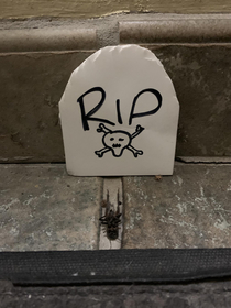 Today my boss gave the cricket that has been dead in our buildings stairwell for  months a headstone