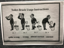 Toilet rules