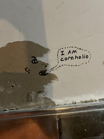Torn drywall resulted in a Beavis appearance