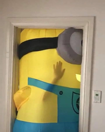 Trapped within a yellow prison