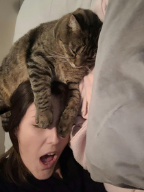 Tried to take a selfie with my cat