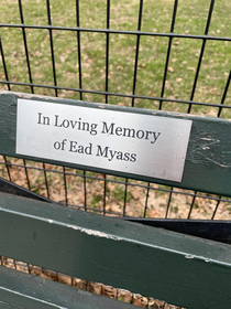 Trolling a Central Park Bench