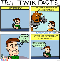 True Twin Facts 