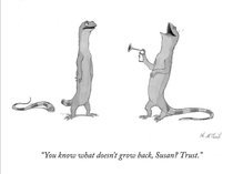 Trust Susan trust