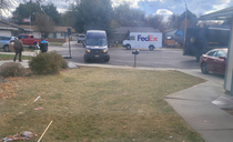 Turf war in front of my house