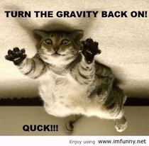 Turn the gravity back on Quick